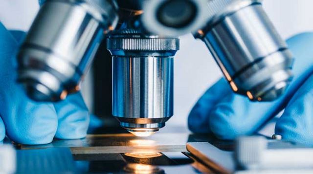 gloved hands holding a slide under a microscope