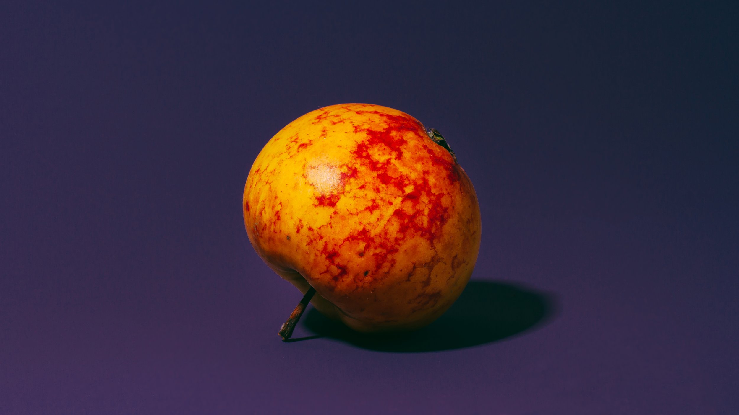 millers_seedling_site.jpg