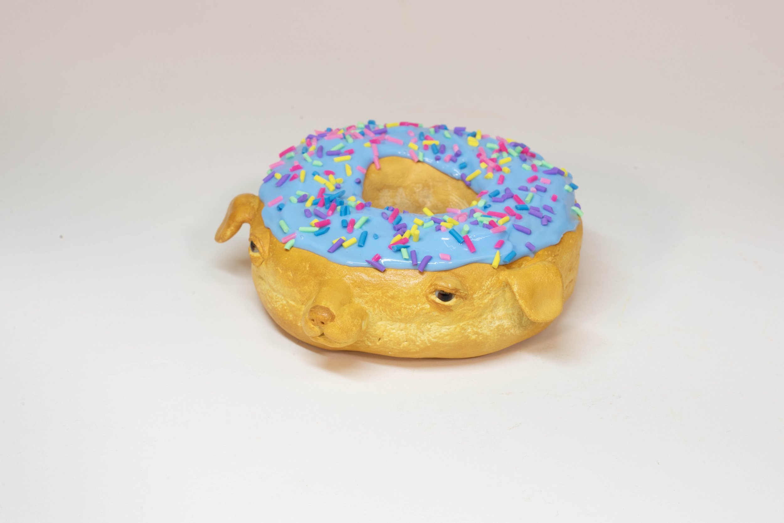 Sprinkle Donut