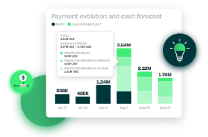 Cash Forecasting Chart Infographic